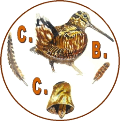 Club de Cazadores de Becada